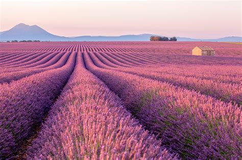 Conhe A Provence Um Roteiro Incr Vel Por Essa Regi O Deslumbrante