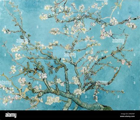 Vincent Van Gogh Almond Blossom Oil On Canvas Amsterdam The