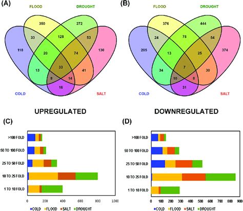 Differentially Up Regulated And Down Regulated Transcripts In All The 4