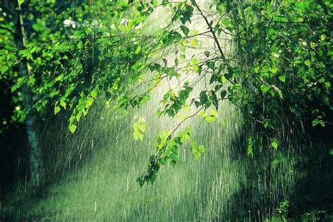 Lluvia Imágenes de lluvia Paisajes