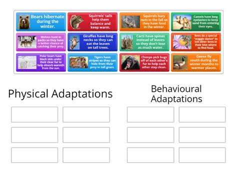 Adaptations of Living Things - Group sort