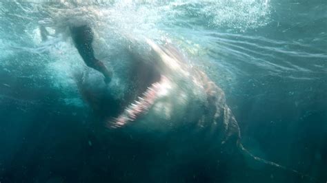 Scariest Megalodon Sightings That Prove It Is Real Youtube