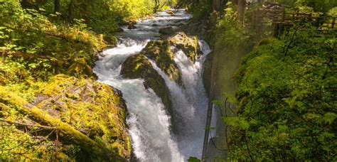 Sol Duc Falls Hike - Beer Bikes and Campfires .com