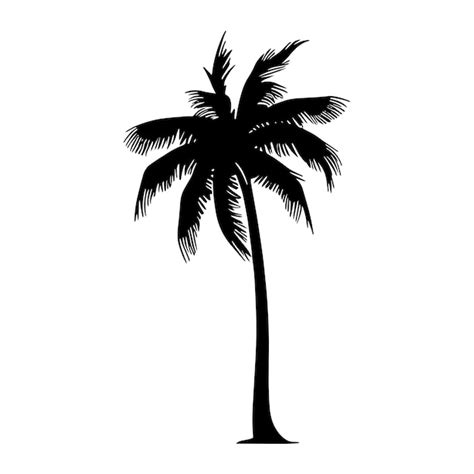 Premium Vector Palm Tree Silhouette Vector Illustration