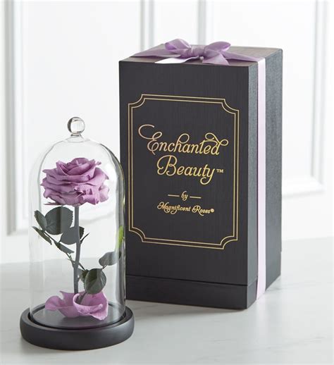 Enchanted Beauty™ by Magnificent Roses® Lavender | 1800flowers.com