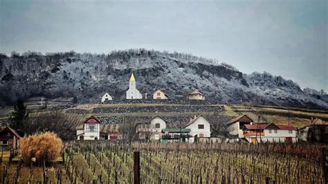 Orban's daughter buys 94 hectares of vineyard in Hungary - iNEWS