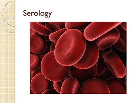 PPT - Serology PowerPoint Presentation, free download - ID:2526794