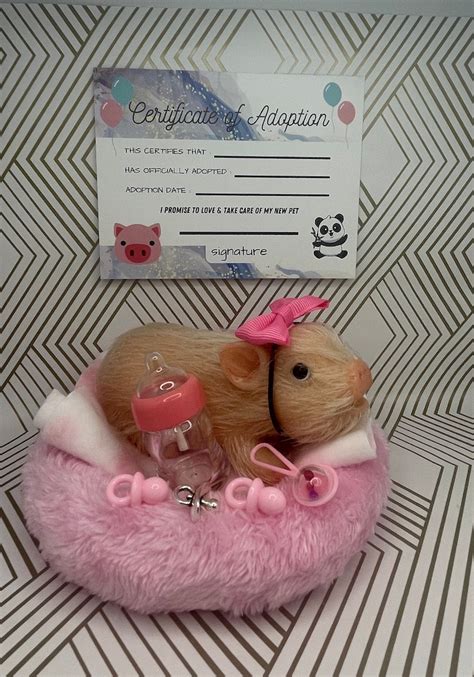 Silicone Teacup Pig Adoption Package Teacup Realistic Piglet - Etsy