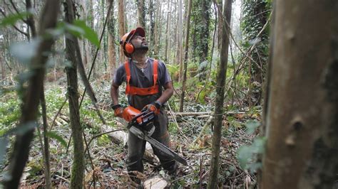 El sector forestal de Ferrolterra y Ortegal prevé un repunte del precio