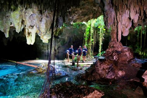 Best Cenotes In Riviera Maya You Must Visit In