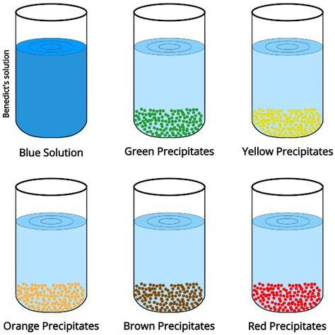 Benedict's Test- Principle, Preparation, Procedure And, 48% OFF