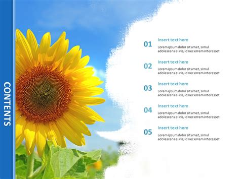 Sunflower Powerpoint Template 50 Koleksi Gambar