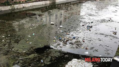 Milano Torna L Acqua Nel Naviglio La Spazzatura Torna A Galla