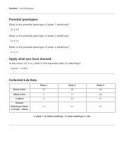 Lab Mendelian Genetics Monohybrid Plant Cross Pdf Student Lily