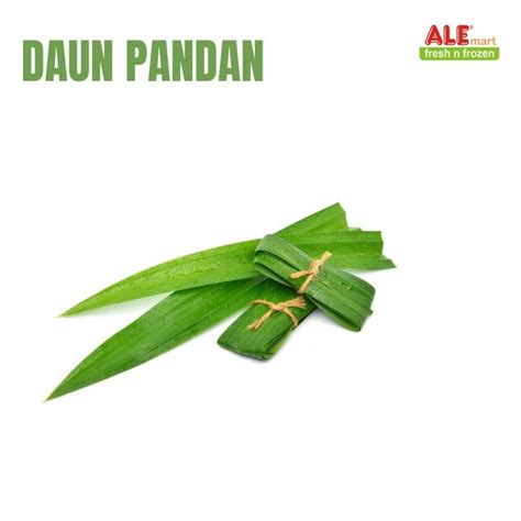 Daun Pandan Fresh Daun Pandan Daun Pandan Segar Lazada Indonesia