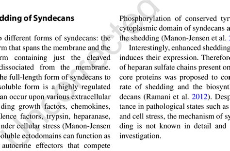 Schematic Representation Of The Structures Of Syndecan And A