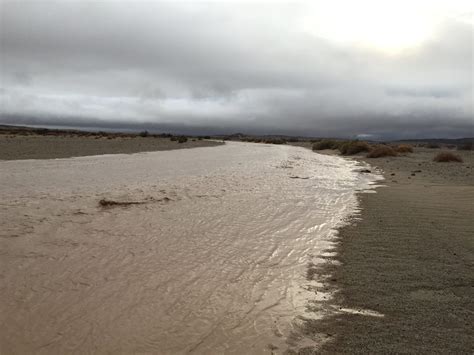 Ocotillo Wells Washes Flowing - Desert Road Trippin'