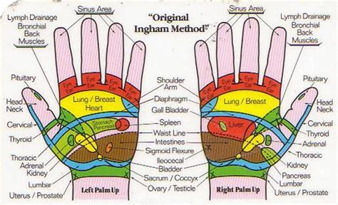pressure points  hands chart pin hand reflexology