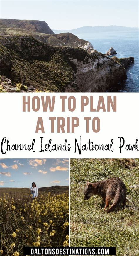 Channel Islands National Park Travel Guide Artofit