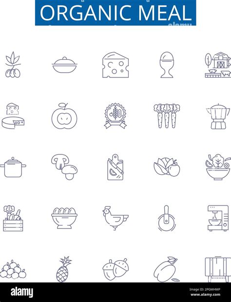 Organic Meal Line Icons Signs Set Design Collection Of Organic Meal