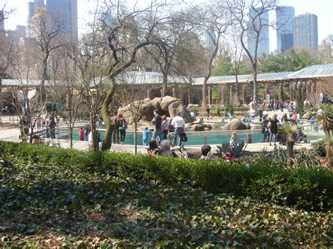 File:Central Park Zoo area.jpg - Wikipedia, the free encyclopedia