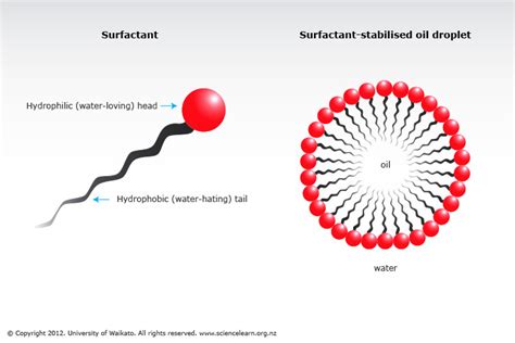 Surfactants — Science Learning Hub