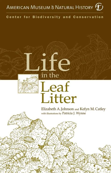 Life In The Leaf Litter EcoBeneficial