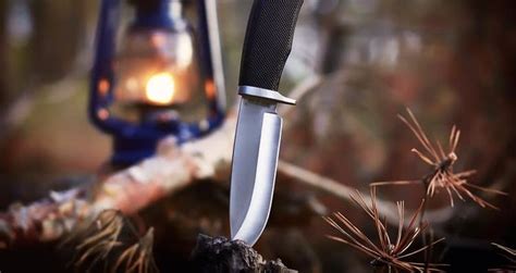 How To Find The Best Skinning Knife For Your Next Hunt