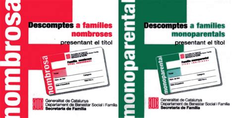 T Tulo De Familia Numerosa O Mono Parental Tr Mites Nacimiento Barcelona