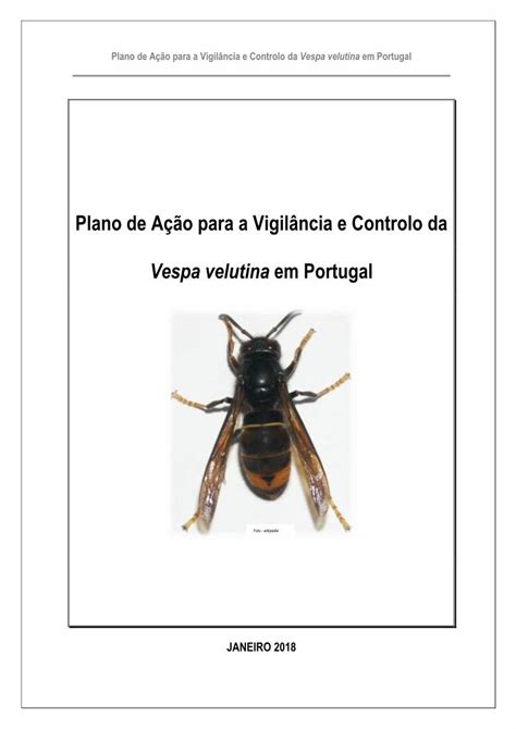 Pdf Plano De A O Para A Vigil Ncia E Controlo Da