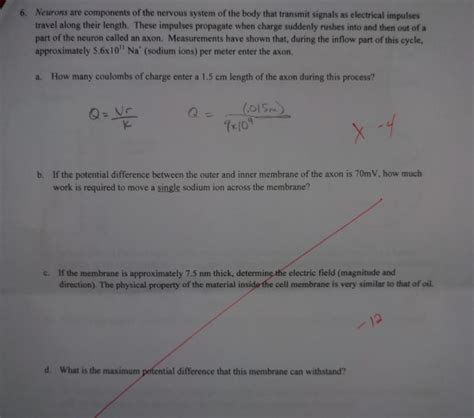 Solved Neurons are components of the nervous system of the | Chegg.com 