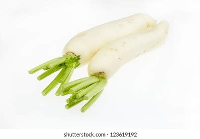 Chinese Radish Oriental Radish Daikon Raphanus Stock Photo 156031874