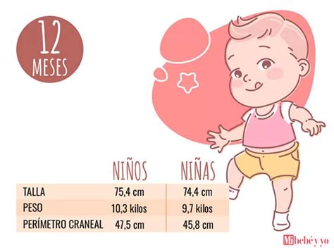 Bebé De 12 Meses Desarrollo Del Bebé Mes A Mes