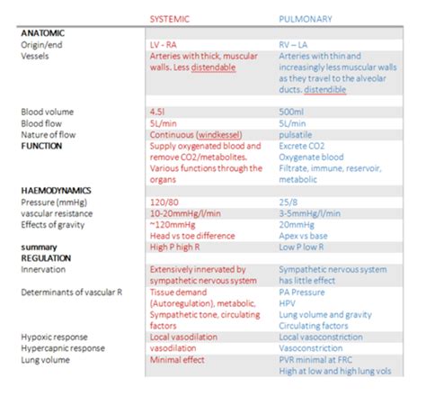 Pulmonary Circulation Flashcards Quizlet