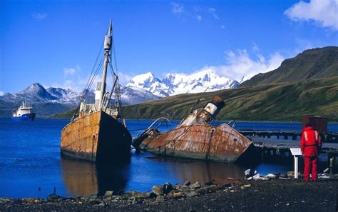 How To Visit Grytviken Whaling Station South Georgia Dark Tourists