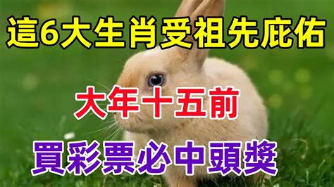 這6大生肖受祖先庇佑！大年十五前買彩票必中頭獎！超級準！民間俗語中國文化國學國學智慧佛學知識人生感悟人生哲理佛教故事