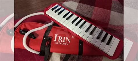 Мелодика Irin instrument купить в Екатеринбурге | Хобби и отдых | Авито