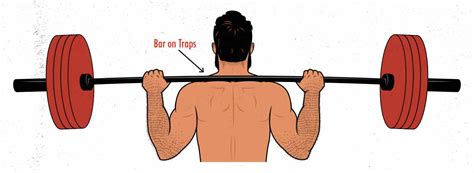 The Barbell Front Squat Guide For Building Muscle