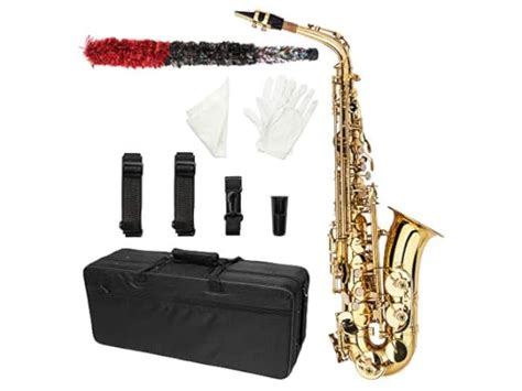 The 10 Best Saxophones For Beginners Of 2024 Reviews Findthisbest