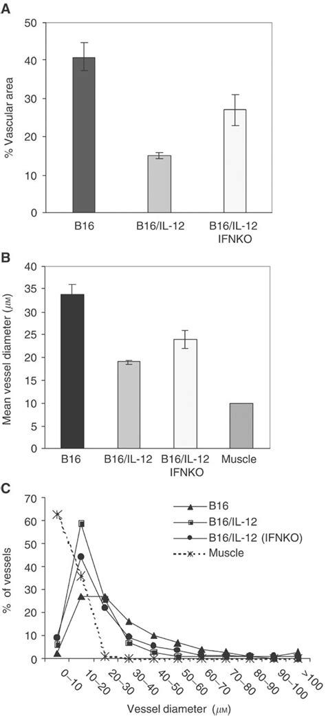 Quantification Of Blood Vessel Diameter And Area In Parental And