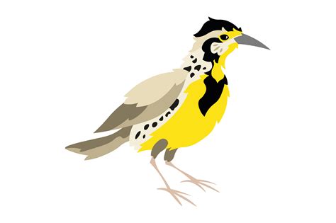 Kansas State Bird - Western Meadowlark SVG Cut file by Creative Fabrica ...