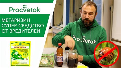 УДАР ПО ВРЕДИТЕЛЯМ БЕЗ ХИМИИ! Готовим Метаризин своими руками - YouTube