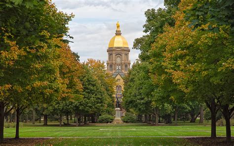 The Golden Dome Of Notre Dame Photograph by John M Bailey