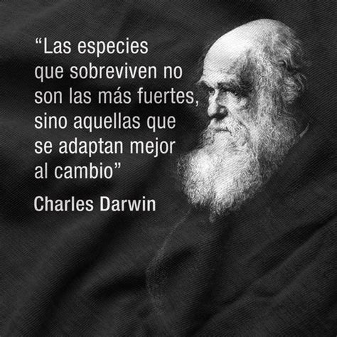 Total 36 Imagen Frases Charles Darwin Abzlocal Mx