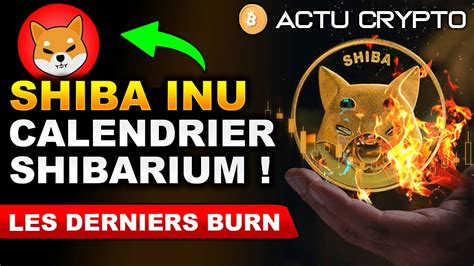 Shib Inu En Shibarium La Sortie Pour Cet T Youtube