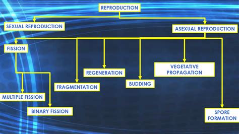 How Do Organisms Reproduce Cbse Study Mania