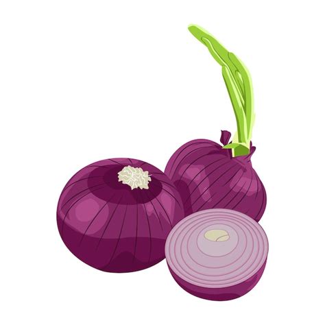 Premium Vector Whole Half And Sliced Red Onions Isolated On White