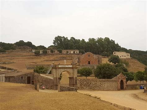 Ardia Di San Costantino Orgoglio Della Tradizione Sarda