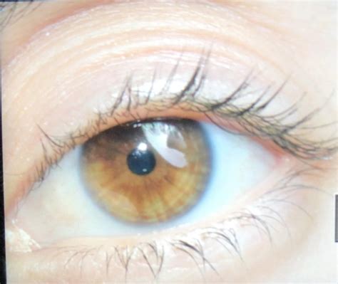 Hazel or light brown? : ) : r/eyes