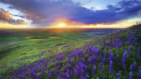 🔥 [40+] Texas Hill Country Wallpapers | WallpaperSafari